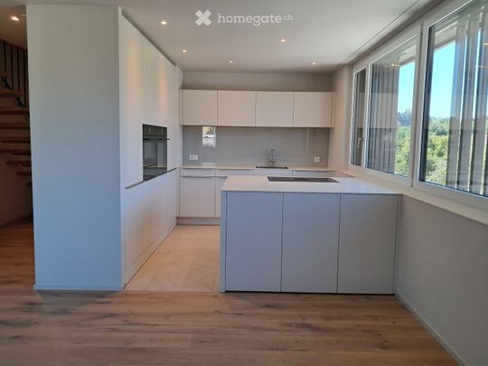 Ein Haus im Haus am Bodensee - Foto 1