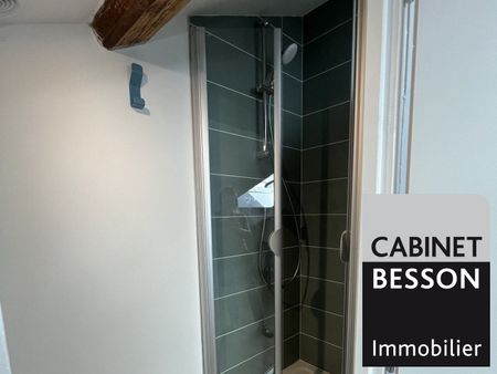 Location Appartement 1 pièce 15m² GRENOBLE 38000 - Photo 4