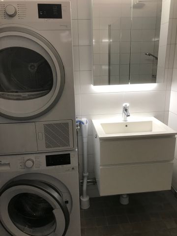 Polcirkelvägen, Vega - Photo 2