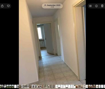 3 Zimmer, 80 m², 1. Stock - Foto 4