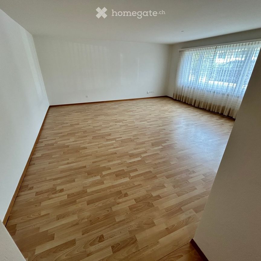 1.5-Zimmer-Wohnung in Zürich-Albisgüetli zu vermieten - Foto 1