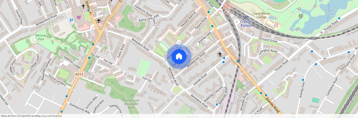 Anerley Grove, London, SE19