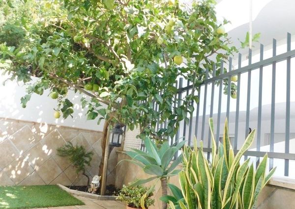 Flat - Fuengirola (Torreblanca del Sol)