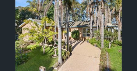 Sensational Sunshine - Photo 2