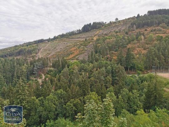 Location Appartement 1 pièce 34m² ST ETIENNE 42100 - Photo 1