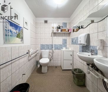 Dom pod działalność usługową - Wynajem - Фото 6