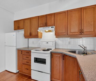 For Lease - 150 York Street Unit# 3A, Lower Town - Sandy Hill, Ontario - Photo 5