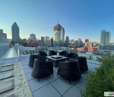 507-288, Rue Ann, Griffintown à louer - Photo 2