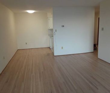 One Bedroom for rent in Marpole area, Vancouver - Photo 4