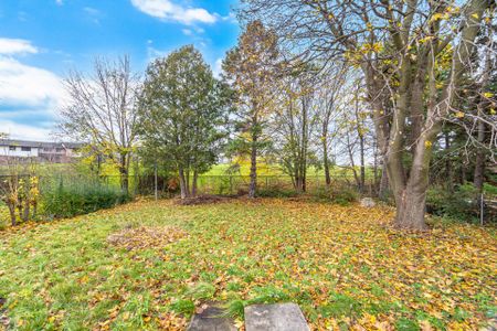 For Lease - 406 Tamarack Drive Unit# Main, Waterloo, Ontario - Photo 4