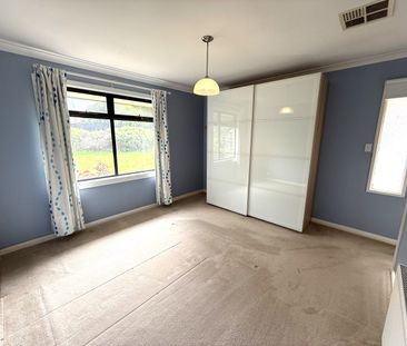 Updated Family Home - Photo 4