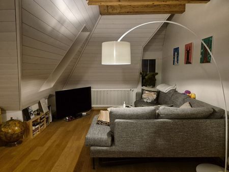 21/2-ROOM COTTAGE APARTMENT IN BERN - BREITENRAIN, FURNISHED, TEMPORARY - Photo 3