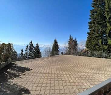 Rent a 2 rooms terrace flat in Rigi-Kaltbad - Photo 1