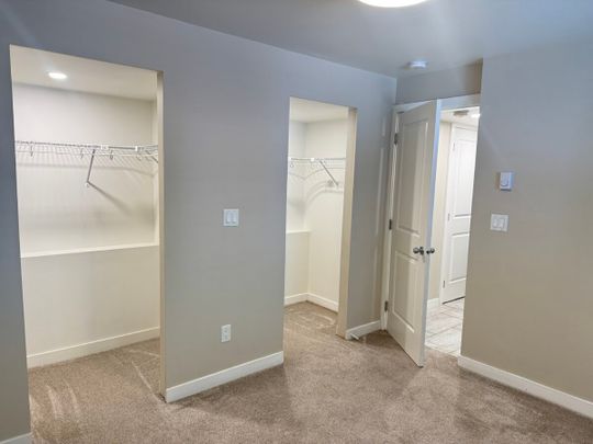 Beautiful Basement Suite - Photo 1