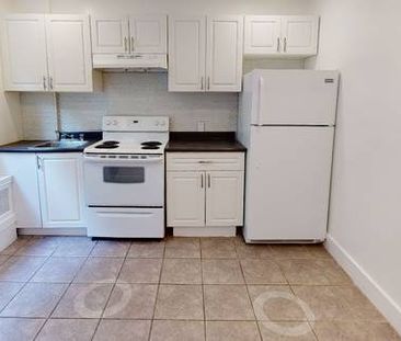 Pet-Friendly Large 1-bedroom in Verdun - Photo 1