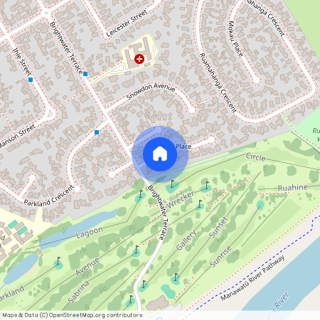 6 Opawa Place, Terrace End, Palmerston North City