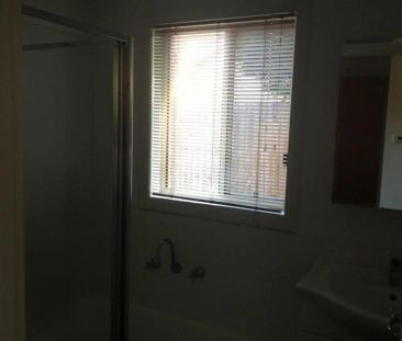 “A Berwick Beauty!” - Photo 3