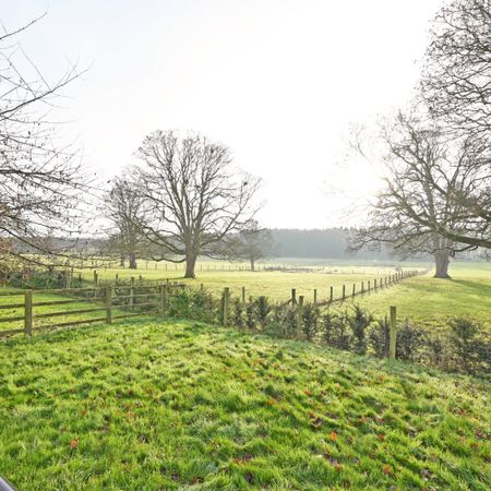 2 bedroom detached bungalow to rent - Photo 4