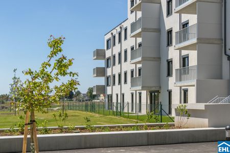 DER BALLON - Ankommen und abheben - NATURNAHES WOHNEN NAHE DER SEESTADT ASPERN - Photo 4