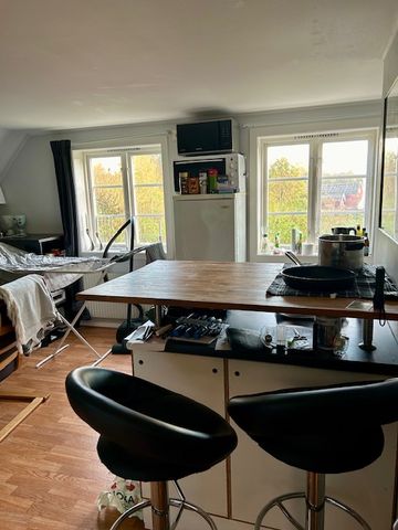 Sperlingsholm Residenset, Åled - Photo 4