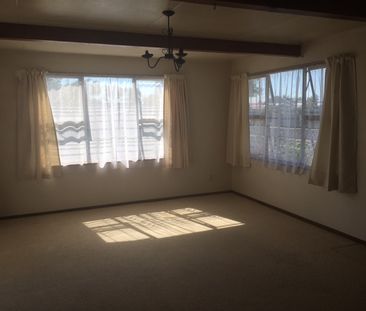 Cabot Place, Flaxmere - Photo 3