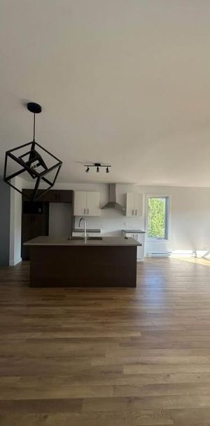 logement 4 1/2 neuf - Photo 1