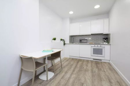 Platinum Plus Studio - Park View - Photo 4