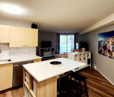 Bright 1 Bed 1 Bath Condo for Rent | 2106 - 2280 68 Street Northeas... - Photo 1