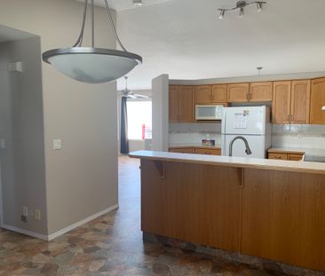 AMAZING FULL HOUSE in Deer Park! PETS OK ~ fully fenced yard! - Photo 1