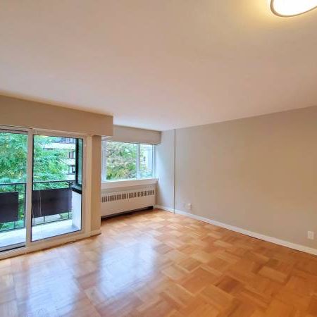 Beautiful Pet Friendly Large Studio + Den In The West End - Photo 3