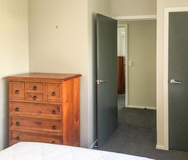 209B McLintock Street North, Johnsonville - Photo 3