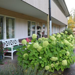 Kullgatan 45 lgh 1110 - Photo 2