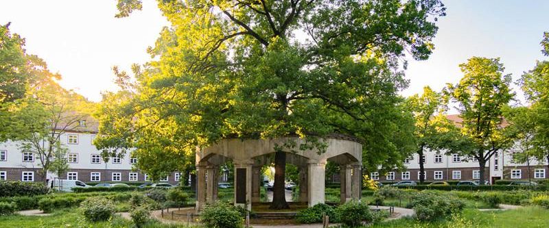 Wunderschöne 2 Zimmerwohnung in Dresden Laubegast! - Foto 1