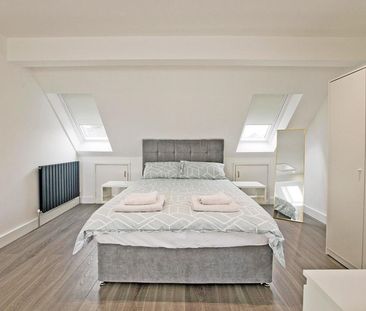 Pointers Close - Photo 4