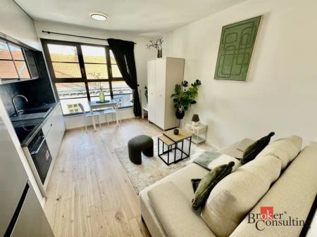 Pronájem bytu 1+kk 24 m - Fotografie 2