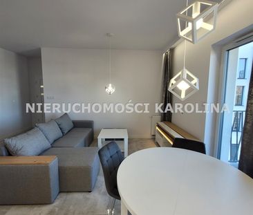 Zamość, Piła - Photo 2