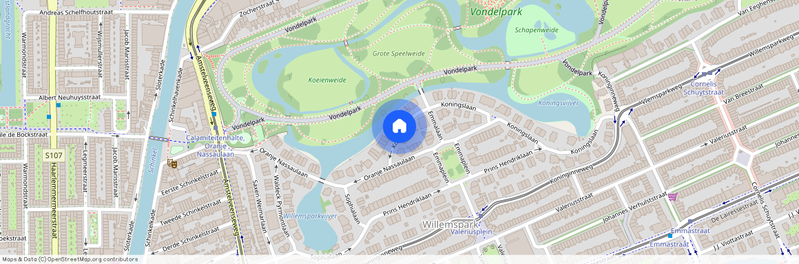 Willemspark, 1075 AB, Koningslaan, Amsterdam