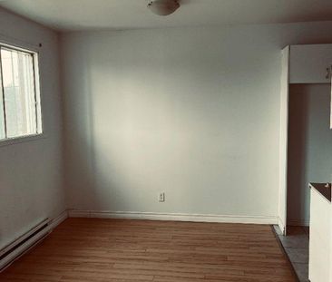 Beau 4 ½ (Décembre et/ou Janvier) - Photo 2