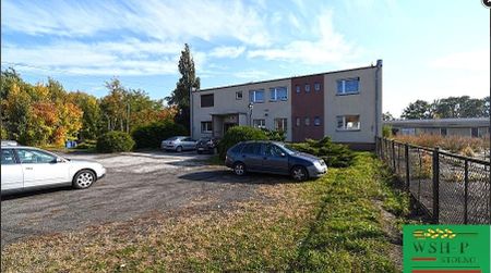 Pokój Stolno - Zdjęcie 5