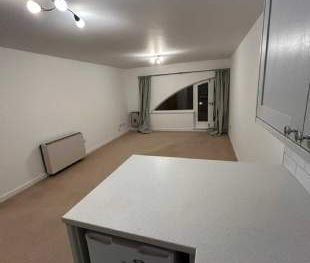 1 bedroom property to rent in Birmingham - Photo 1