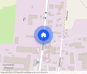 mieszkanie 42mkw Pabianice 2 pokoje plus kuchnia - Zdjęcie 1