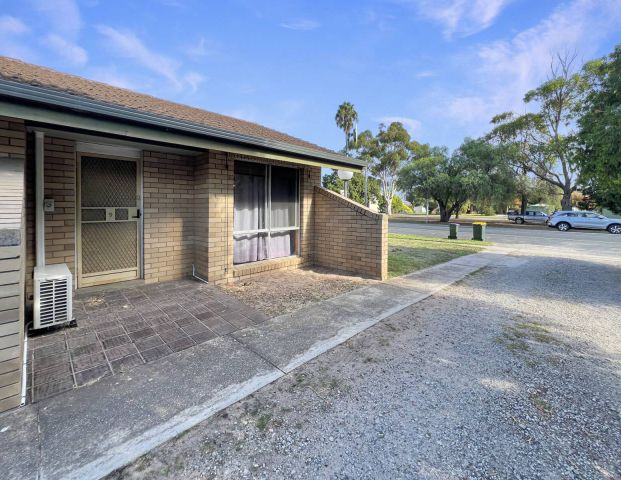 Furnished 1 Bedroom Unit - NEW CARPET - Photo 1