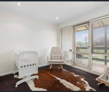 Beach & Creek living- best of both worlds! - Photo 4