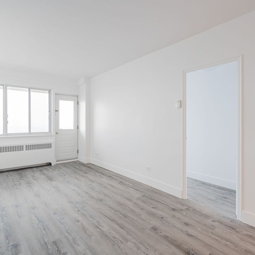 Appartements à louer PLATEAU / CENTREVILLE - Photo 1