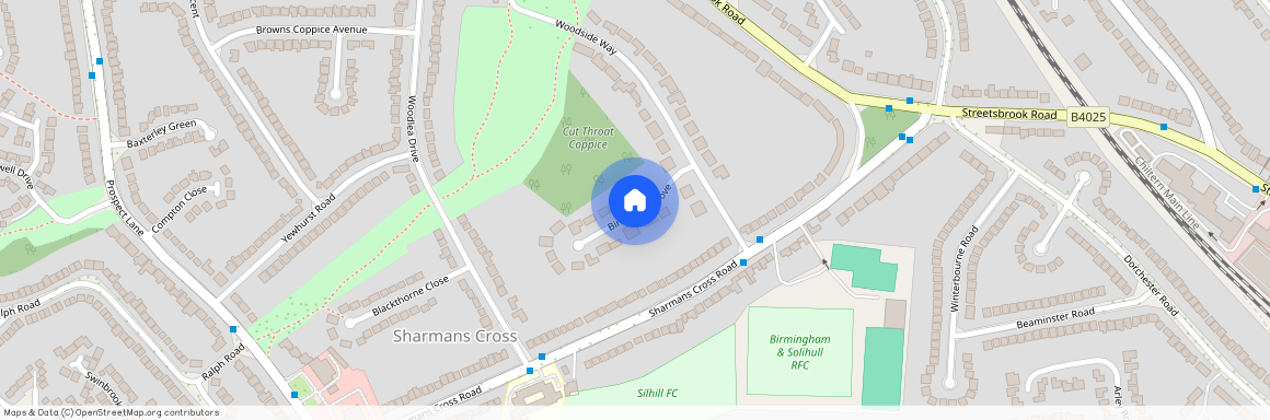 Birch Tree Grove, Solihull, B91