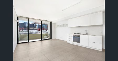 Another Successful Result By David Ibanez and Yuval Rabinowitz - Photo 2