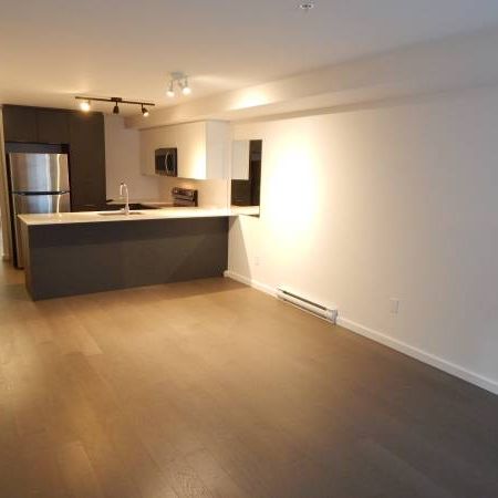 Brand-new 1-bedroom Condo - Photo 3