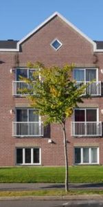 4 1/2 - Lévis - 1 015 $/mois - Photo 4