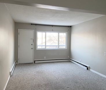 Sorrento Manor - Photo 5