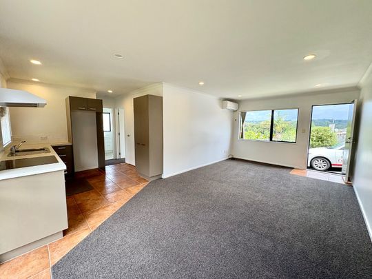 16A Virginia Street, Henderson, Auckland - Photo 1